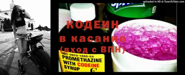 индика Тында