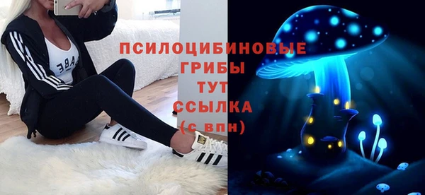 прущая мука Дмитров