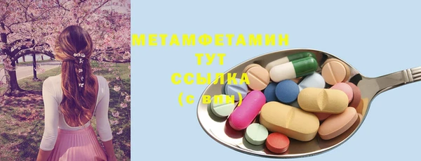 индика Тында