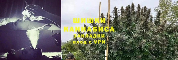 прущие крисы Туринск