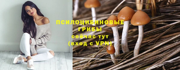 соль курить ск Дмитриев