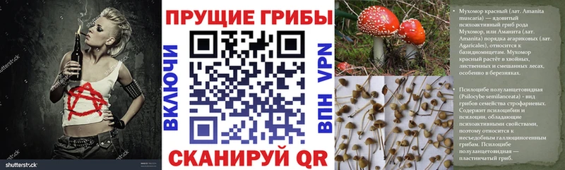 даркнет Telegram  Кострома  Галлюциногенные грибы Magic Shrooms  купить закладку 