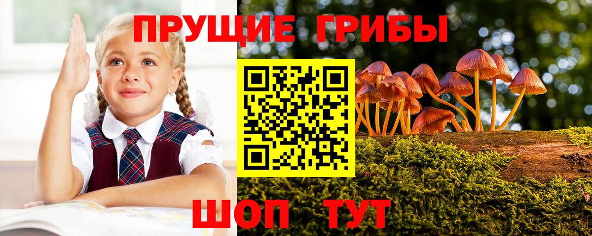 Галлюциногенные грибы Cubensis  Галлюциногенные грибы ЛСД  Кострома  Вход с VPN 