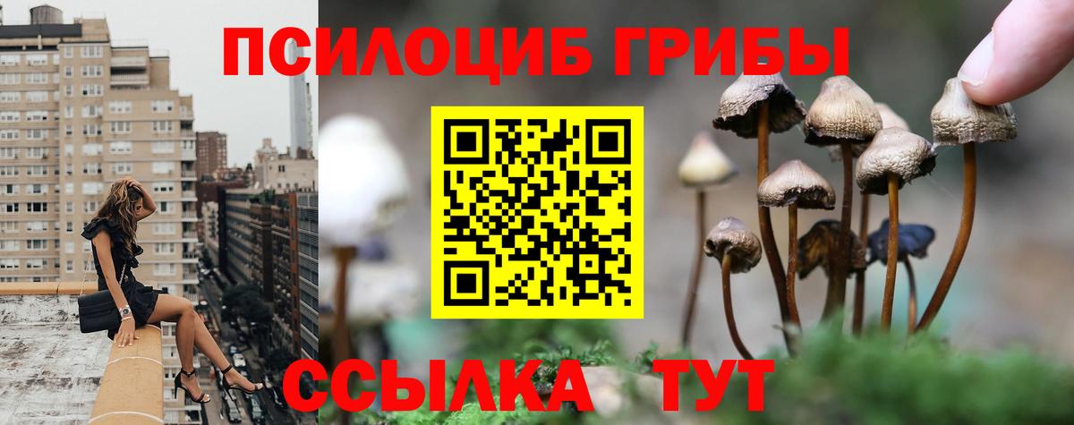 Галлюциногенные грибы мухоморы Кострома